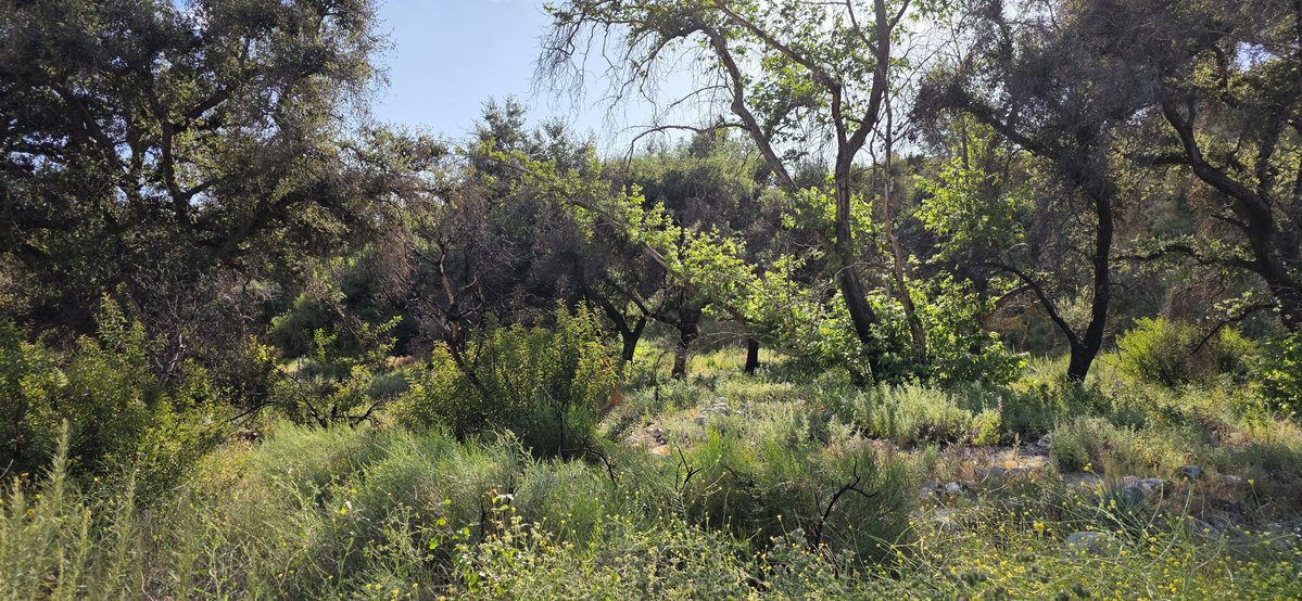 Edgar McGregor tweet media