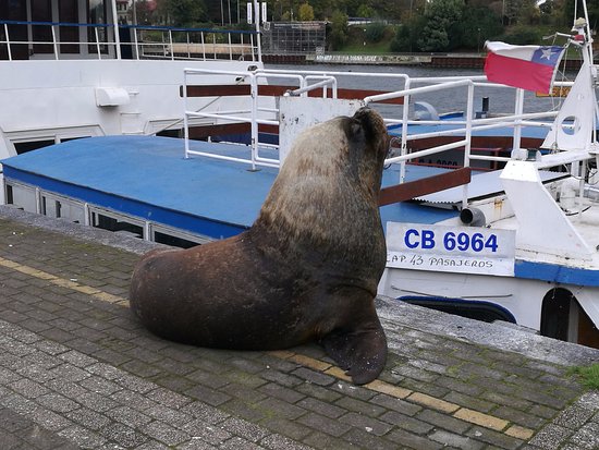 🦋 Rebel_Scum 🦋 🍓🍓 tweet media