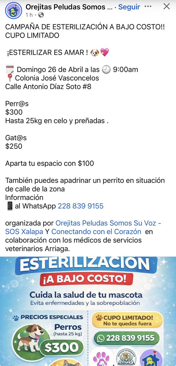 ANGIE COLUNGA tweet media