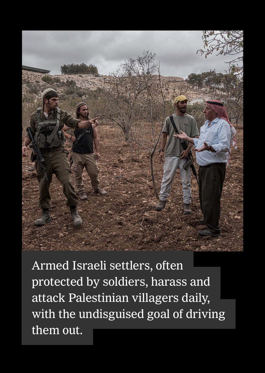 Brian Tashman tweet media