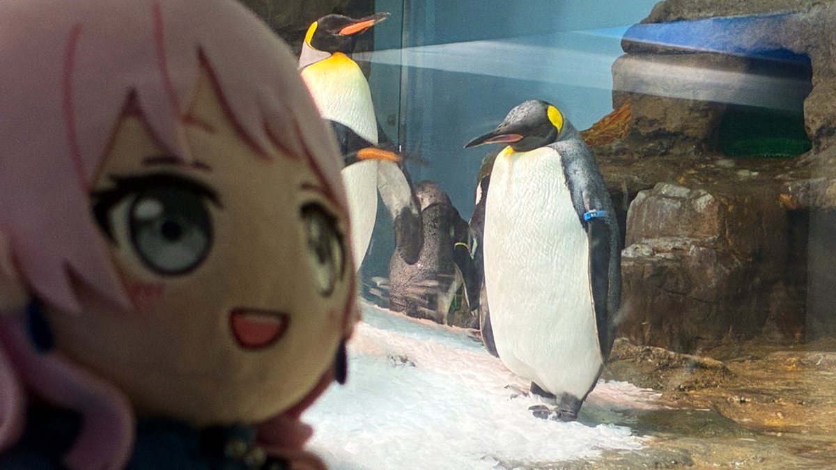 [BGD] RAS 香港公演が2DAYSで開催決定 - 希洽 - PTT.BEST 批踢踢爆文 2