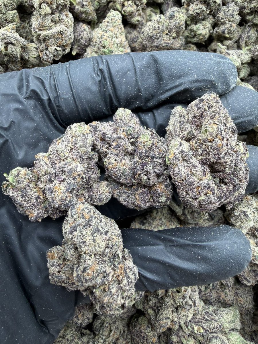 Alpha_Plugs's tweet photo. CANDY FUMES https://t.co/q0rt9WIAI4