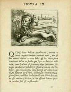 ShamanSaban tweet media