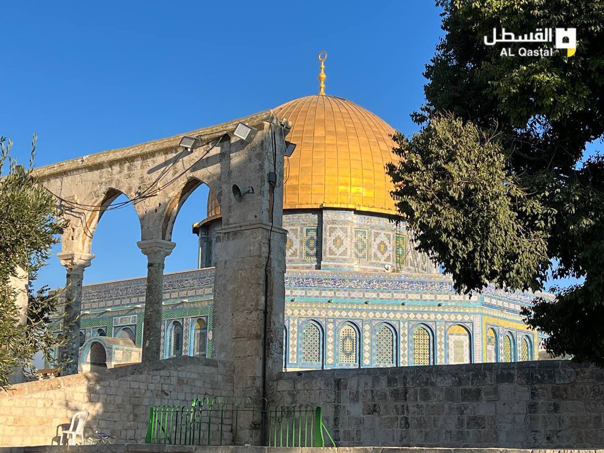 د. هــانــى الــدالــى tweet media