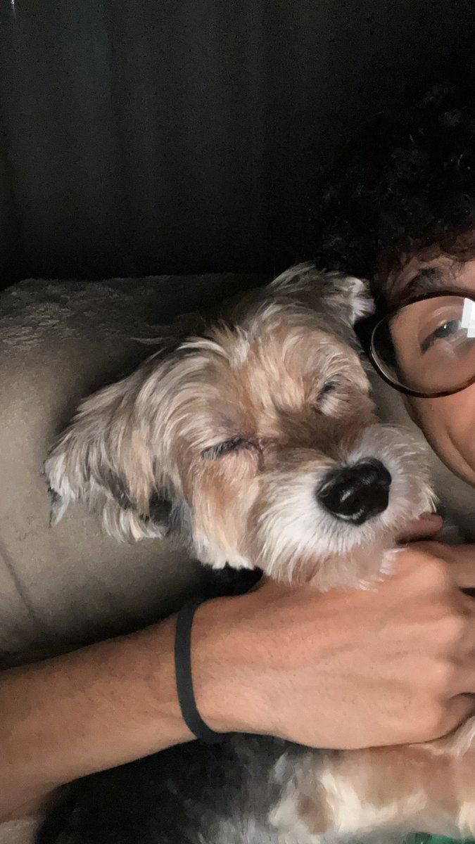 Simon culer tweet media