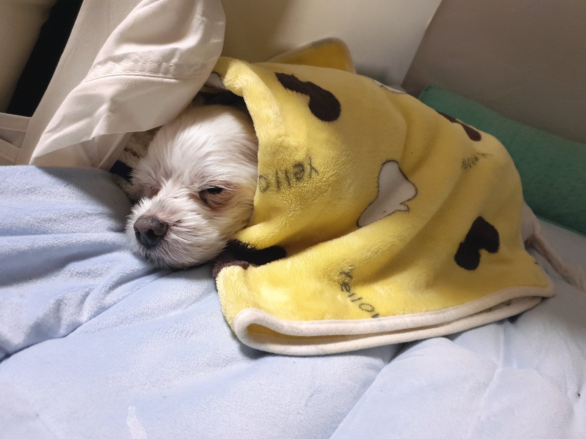 싹노감 SsNK tweet media