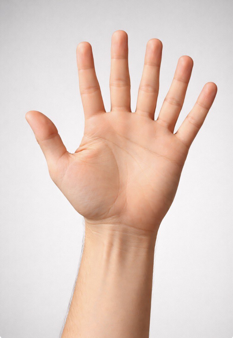 Munir 🇺🇸 tweet media