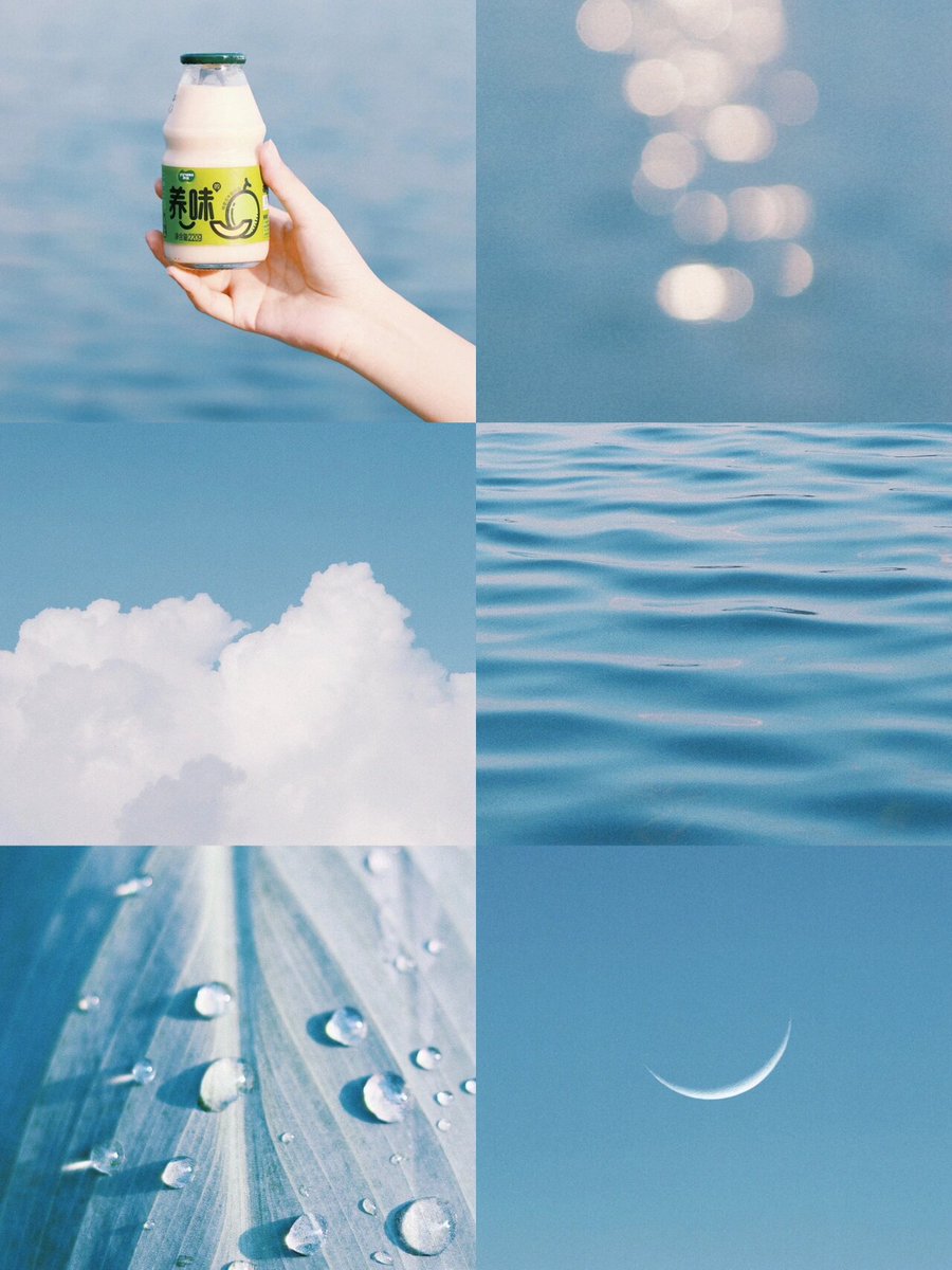 elizabeth tellez tweet media