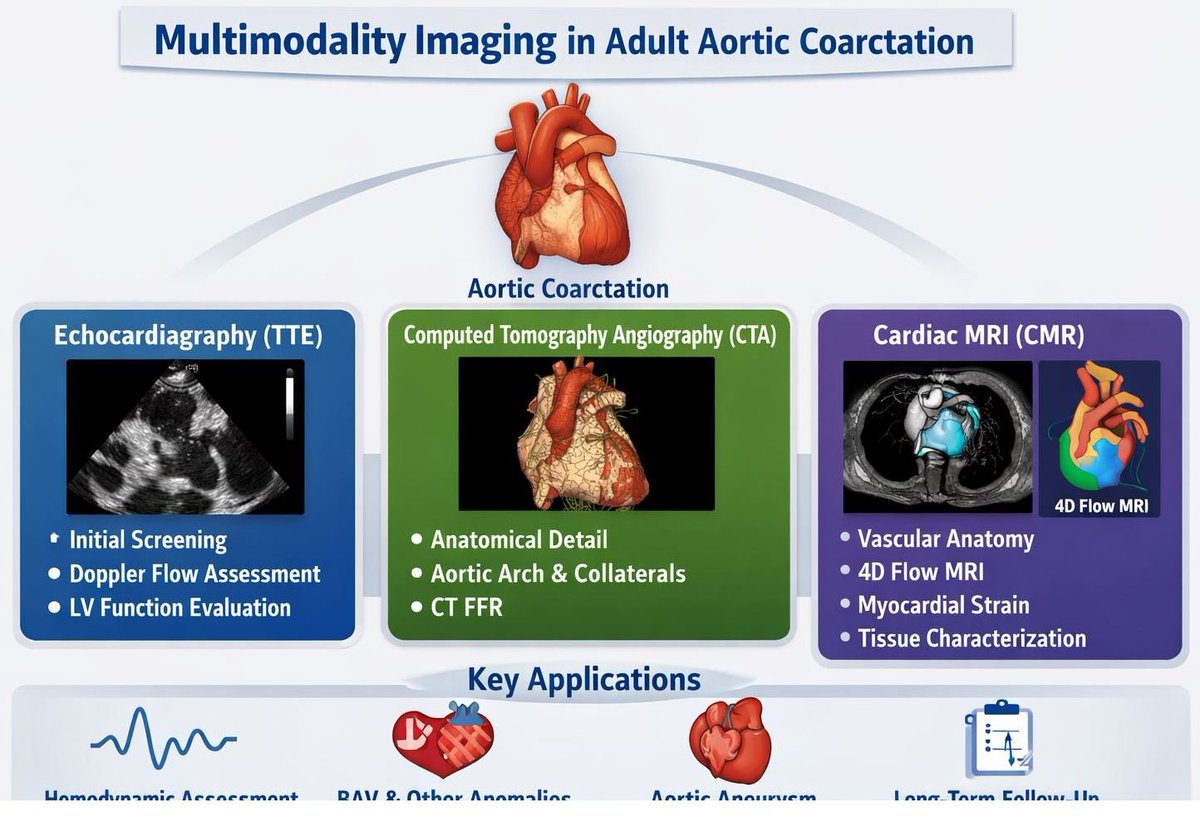 JCM_MDPI's tweet photo. #mdpijcm
#HighlyReviewedPaper
#MultimodalityImaging Approach in Diagnosis and Follow-Up of #AorticCoarctation in Adulthood
👉https://t.co/W5GNohcTPm
👥Lucia La Mura
@MediPharma_MDPI
#CTA; #CMR; #TTE; #CT_angiography https://t.co/dfKy4MnBaY