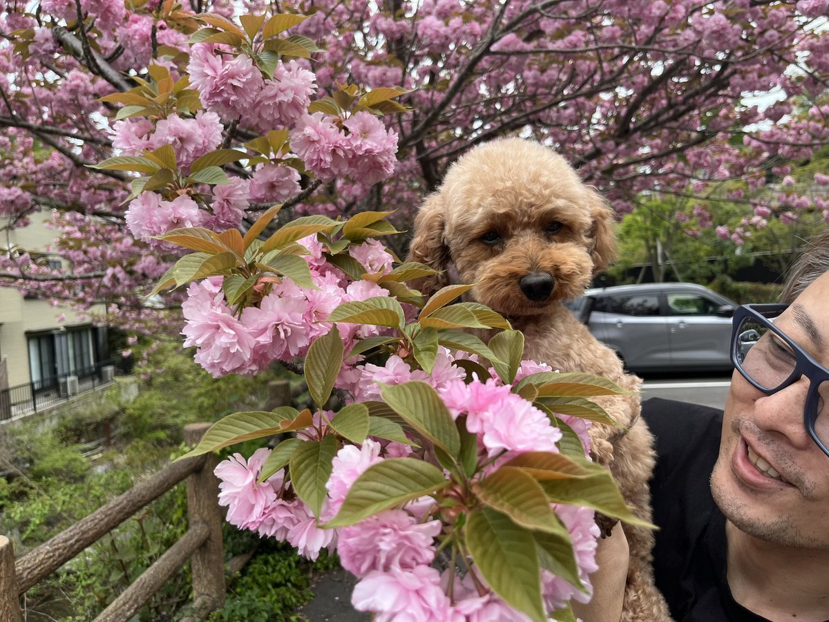 家族の共同作業です