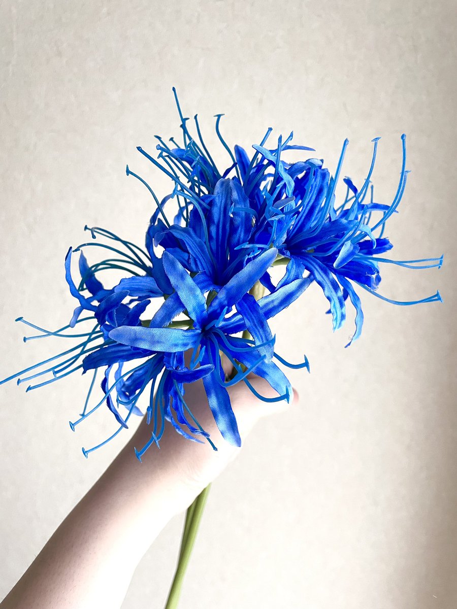 青い彼岸花きれいだったから買っちゃったけど、どうアレンジしようかな