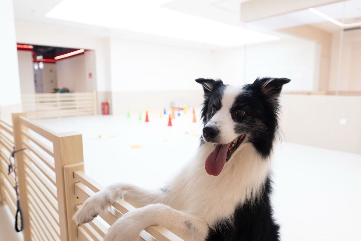 Aynuddin Ali tweet media