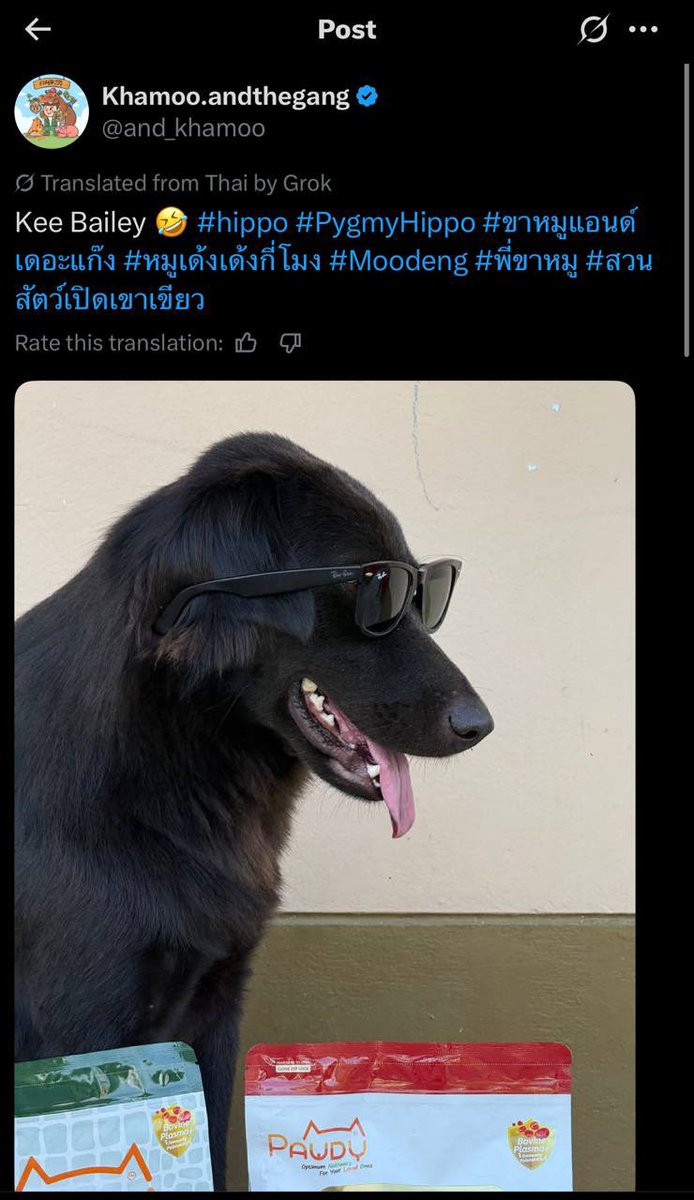 kee_token's tweet photo. Kee name comfirmed

Moo Deng dog

https://t.co/Z3wnroUHJb

https://t.co/o2Z1at03ia

https://t.co/imd8uEmafV

https://t.co/HCae8CBQGL

https://t.co/VueSzIw3VW

https://t.co/WUUmnBaJ9j https://t.co/BsPKe3PSHc
