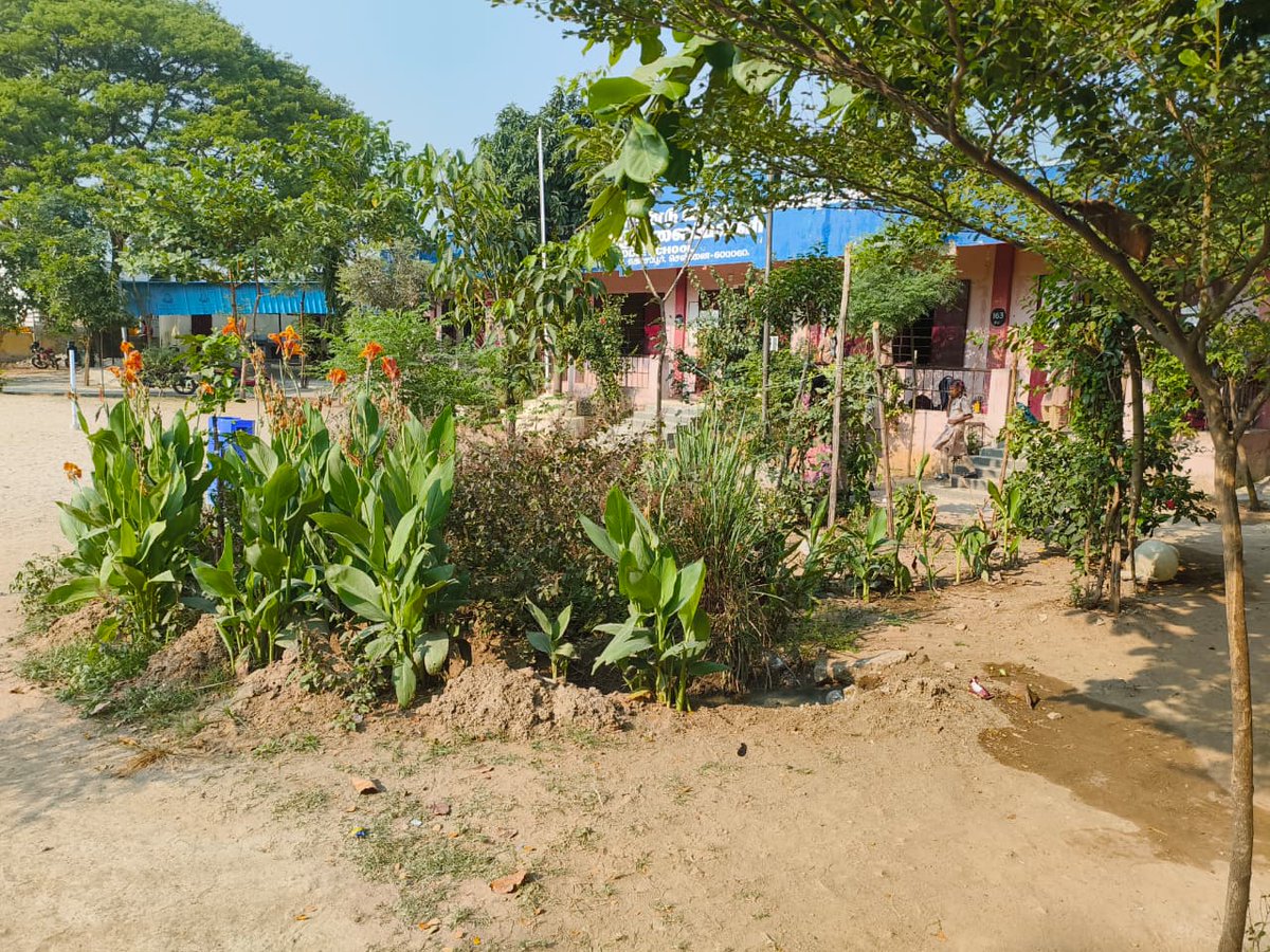 The CMS Kosapur Chennai students Through TCL’s SIA program created this school garden in November 2025, and today we have over 40 saplings surrounding our herbal garden. Everyone is happy to see the transformation. We extend our sincere thanks to <a href="/tata_comm/">Tata Communications</a>  for supporting us