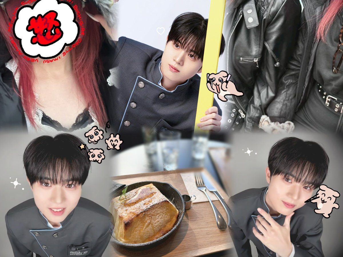 🩵🐾 tweet media