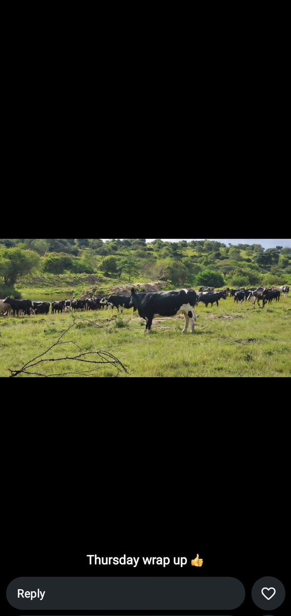 kraal's family tweet media