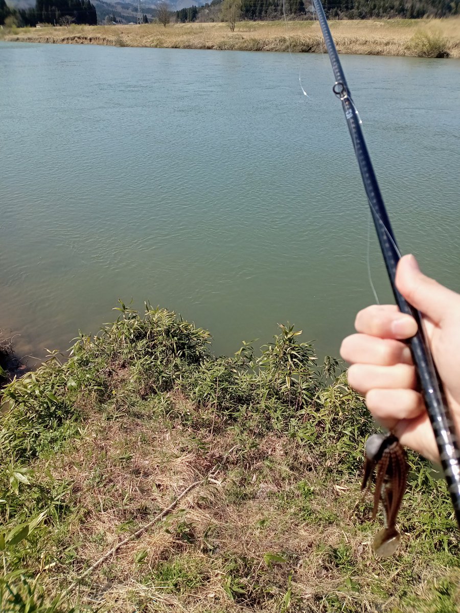 オリベッティちゃん tweet media