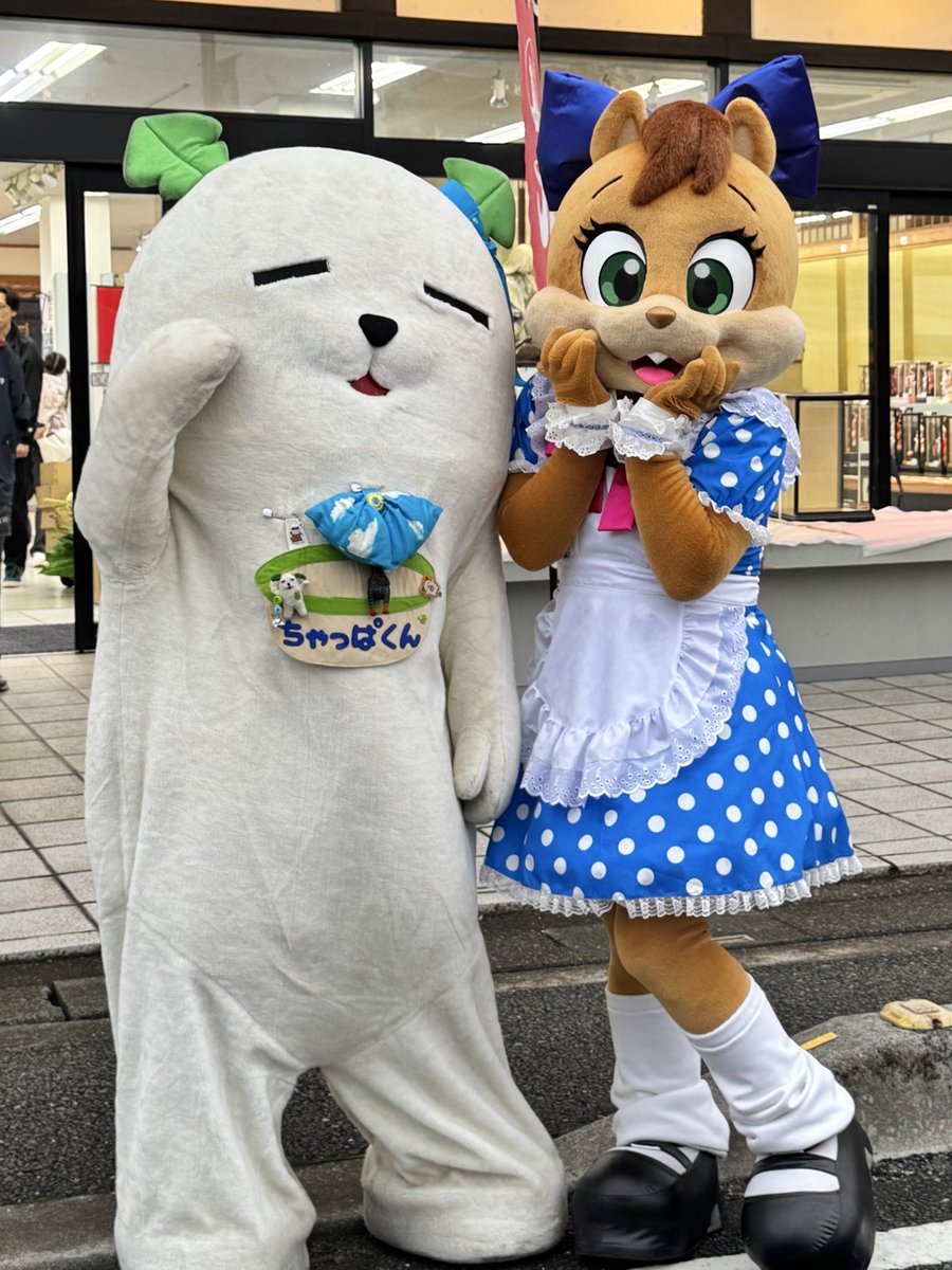 chatie_maruuchi's tweet photo. 今日はバイトの【ちゃっぱくん】@chappakun がまるうち珈琲でのバイト上がりの17時からグリーティングするよ😆✨
16時ラストオーダーだからお時間気をつけてお店にきてね💡

【ちゃっぱくん】は大根ちゃま＠daikonchama の飼い犬キャラだよ❤️ https://t.co/KQp0wJbyGP