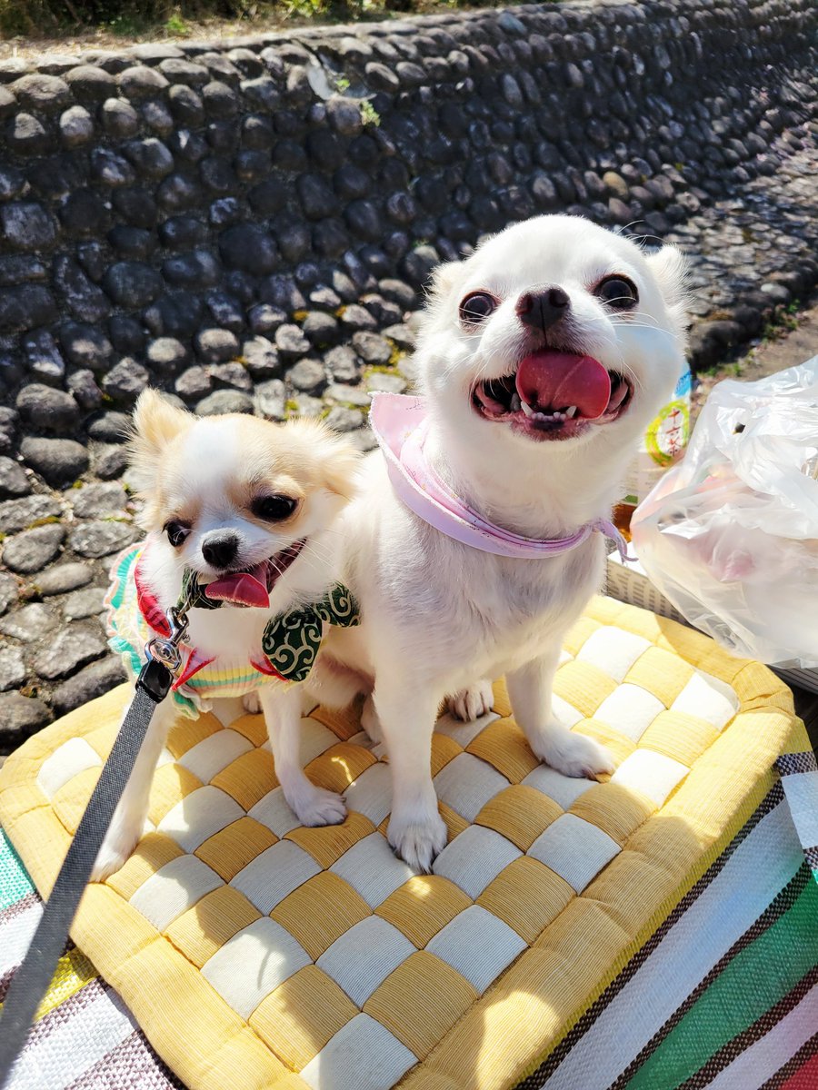 Hayden*リュジク❖Garuda tweet media