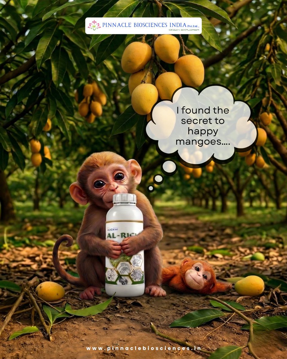 PinnacleB96752's tweet photo. Strong roots 🌱
Green leaves 🍃
Sweeter mangoes 🥭

Al-Rich works through spray or drip to give:

• Natural nutrients from algae
• Better growth &amp; strong roots
• Safe for organic farming

Grow happy, healthy mangoes—naturally!

#AlRich #MangoMagic #OrganicFarming #HealthyCrops https://t.co/kuoUjr9eay