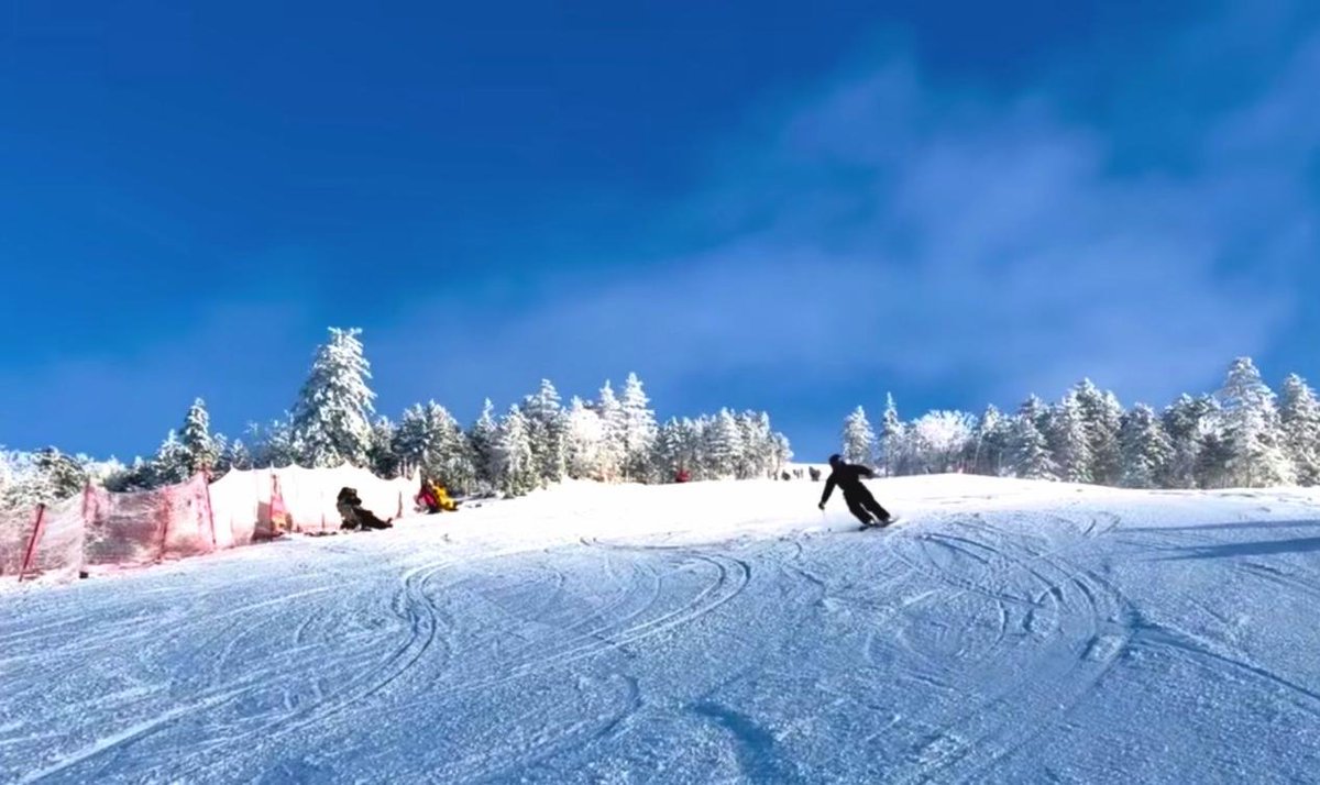 JilinNow tweet media