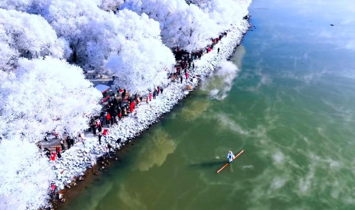 JilinNow tweet media