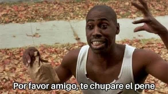 alber cari tweet media