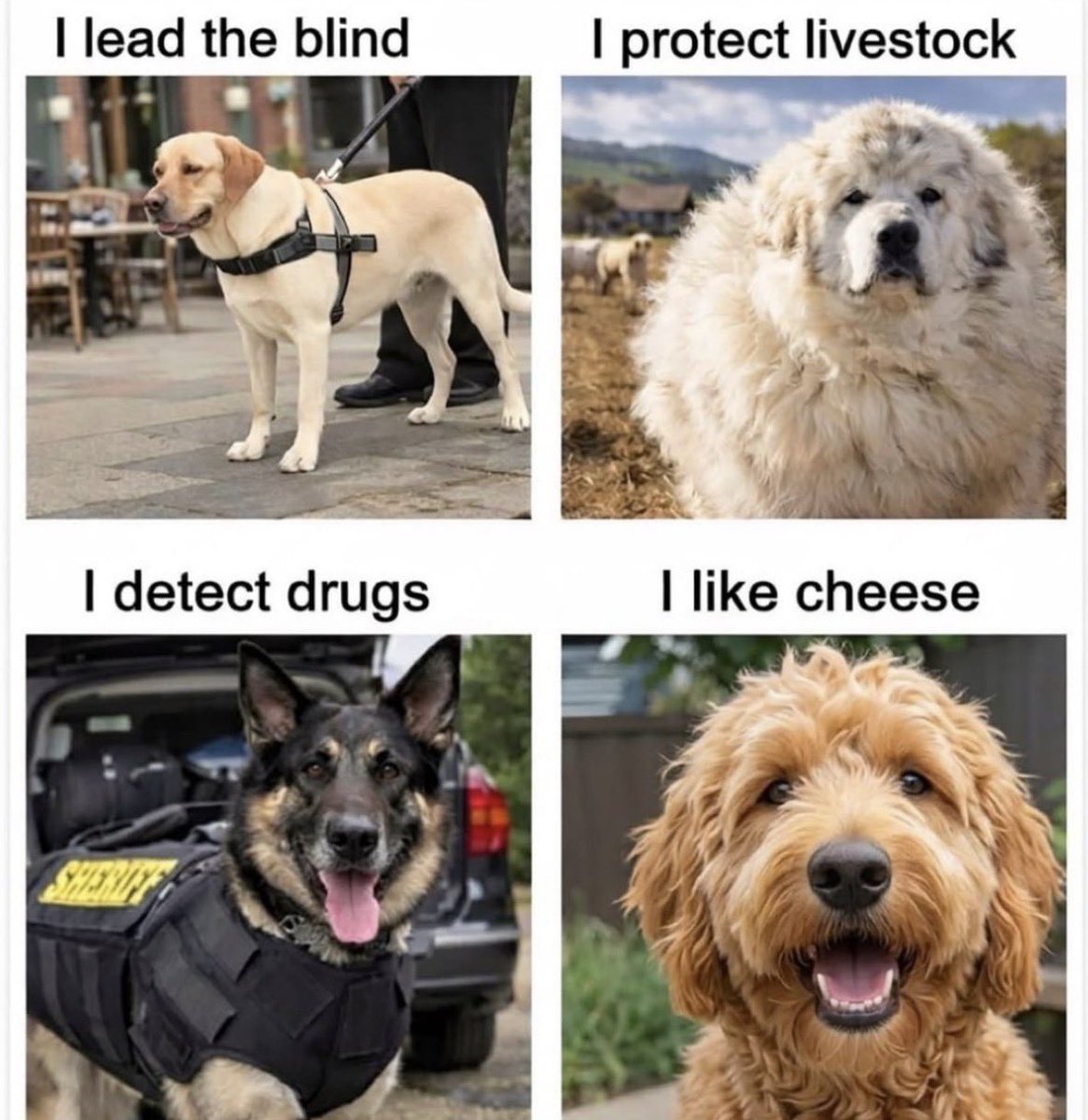 ℭ𝔲𝔯𝔰𝔢𝔡 𝔐⩜⃝𝔳𝔢𝔫𖤓𝐎𝐩𝐨𝐬𝐬𝐮𝐦 𝐐𝐮𝐞𝐞𝐧 tweet media