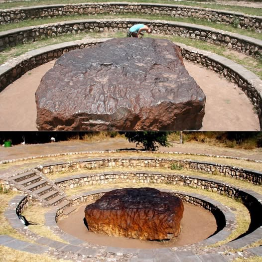 pier luigi pinna tweet media