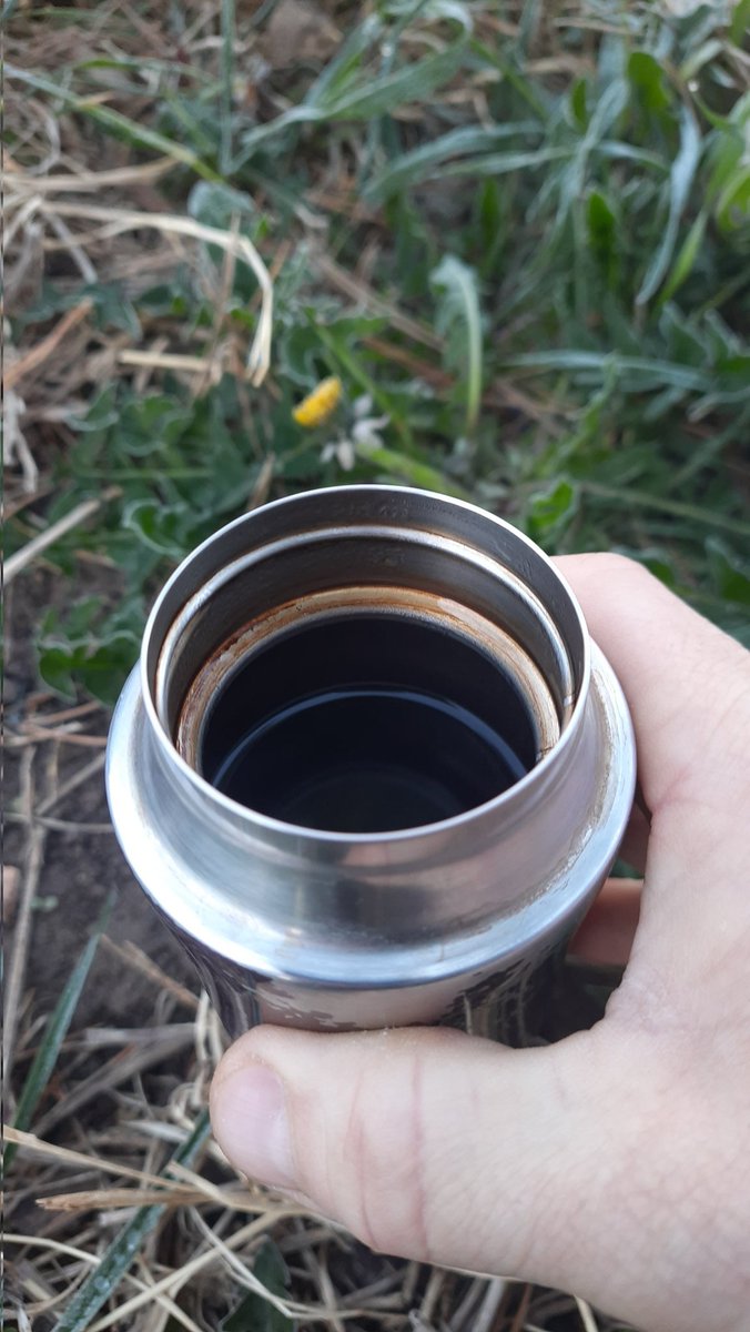 Морнінґ шановні еврібаді ✌️. З поливаним понеділком.
Майте файну днину та запашну каву. Всім 4.5.0. Окупантам смерть! Бережіть себе та своїх любих 💙💛