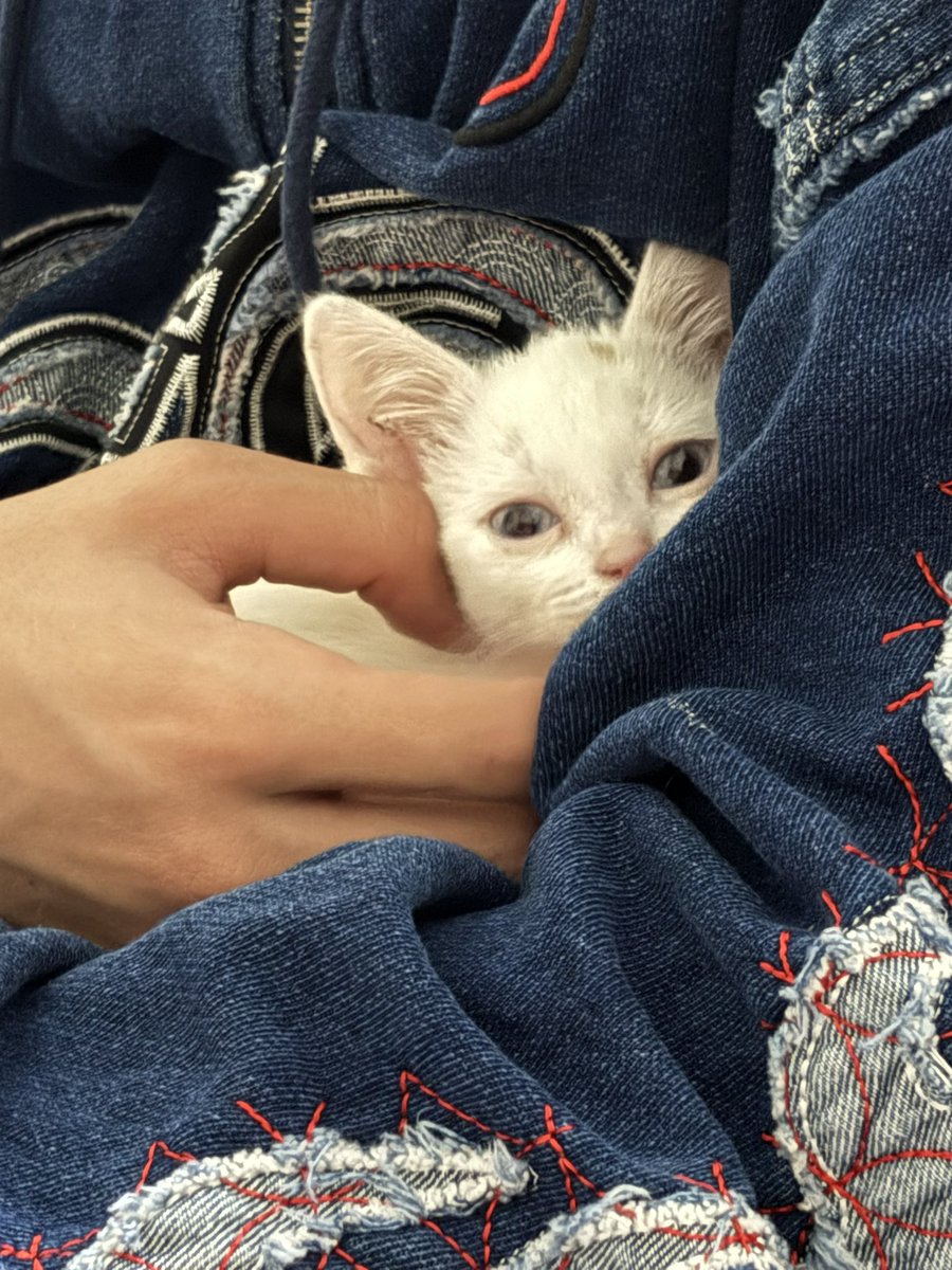 Verónica tweet media