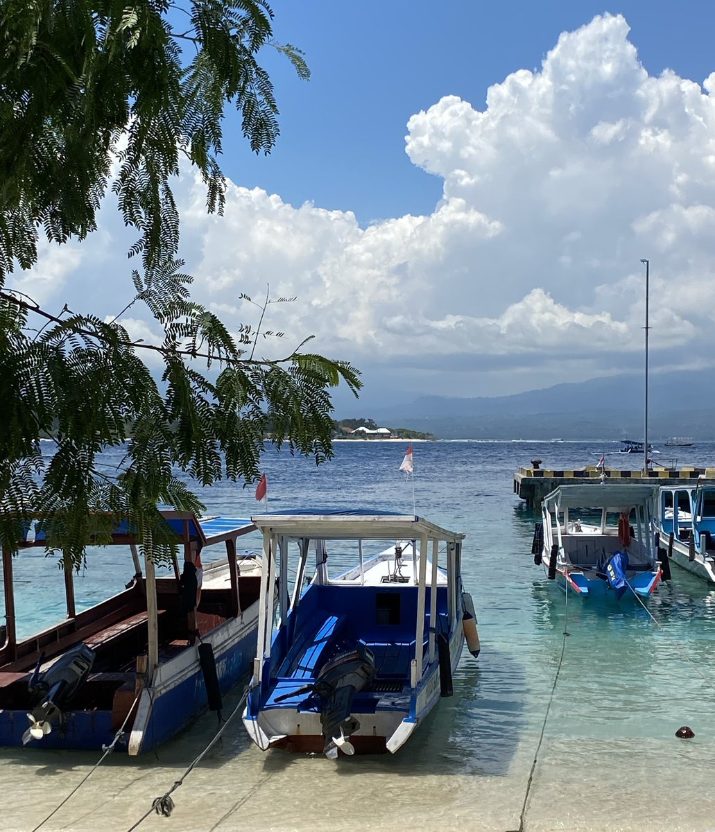 Derek Bailey tweet media