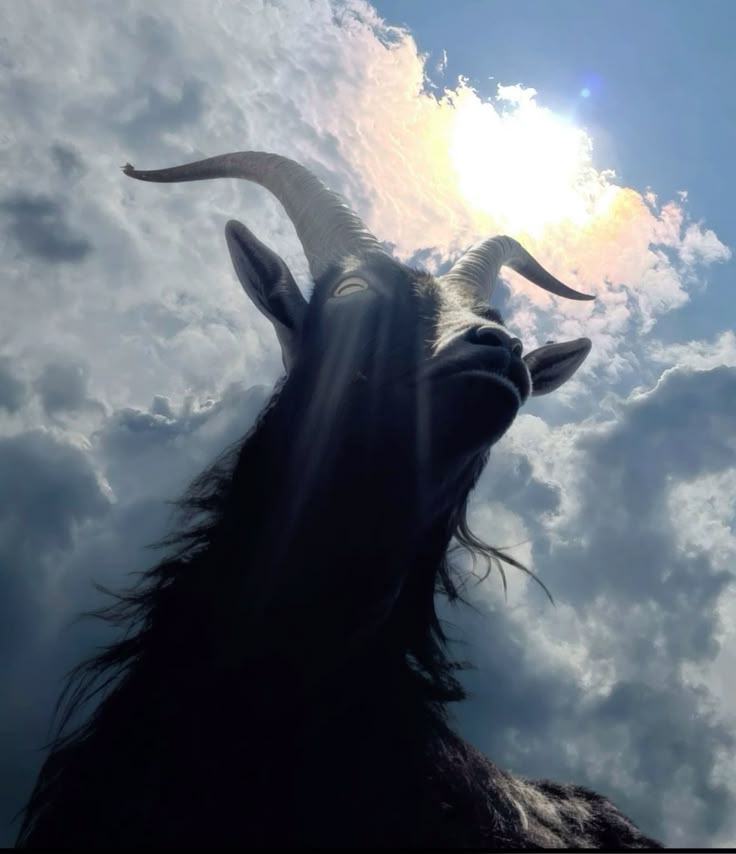 PacoGoal tweet media