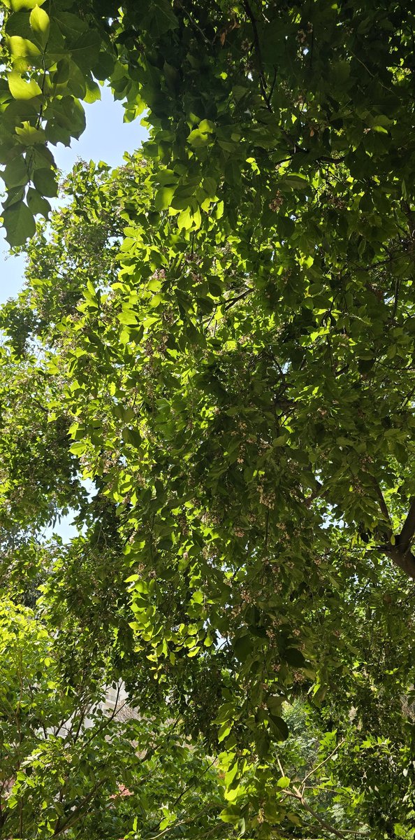 RehmathWrites's tweet image. Good morning beautiful souls have a wonderful day.
#Monday