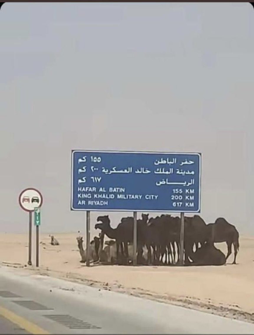 #عاشق_الماضي tweet media