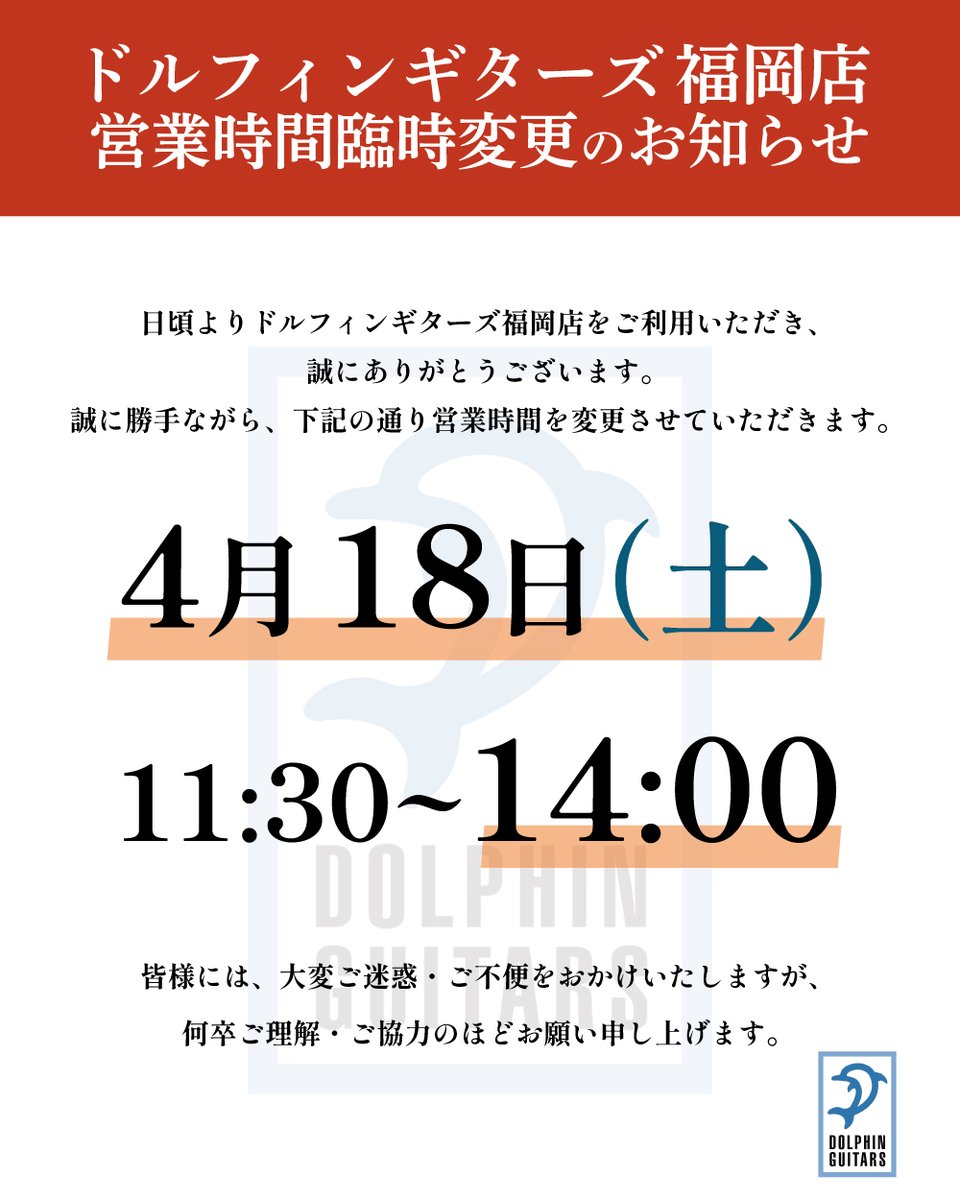 ドルフィンギターズ tweet media