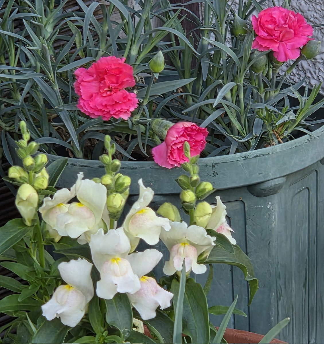 🎀セッチャン🎀 tweet media