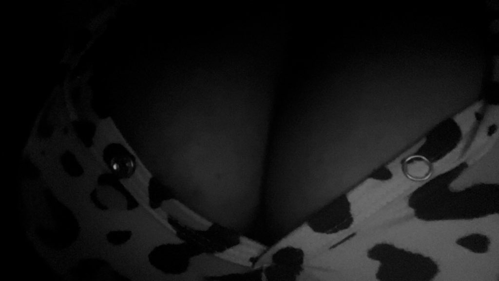 ༺𝒫𝒾𝓂𝓅𝒞ℴ𝒸ℴ༻ tweet media