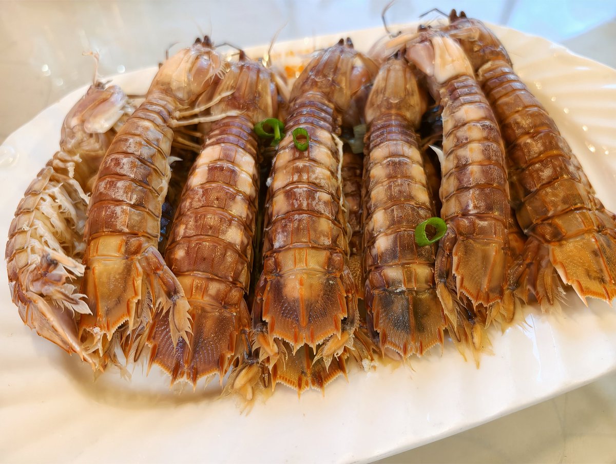 枫林漫步【互fo】🕊️ tweet media