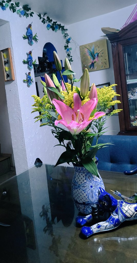 qrls92's tweet photo. Te va a tocar, ver flores desde afuera. https://t.co/DeCIaZicyf