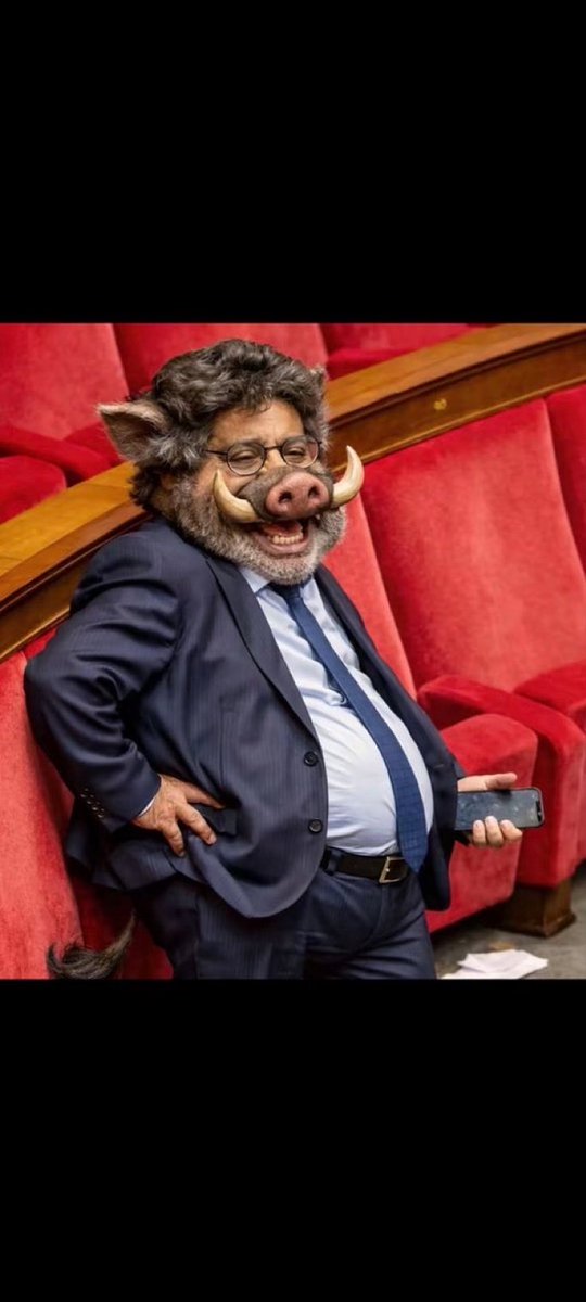 Ziko Paradeli tweet media