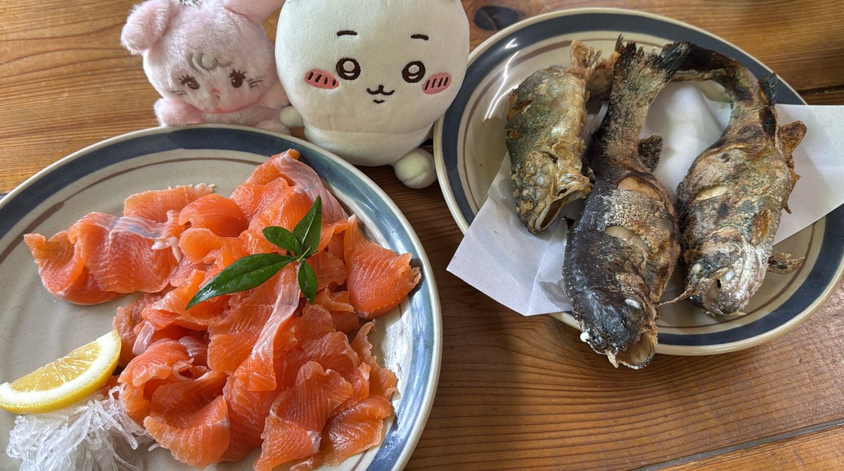 いぬかわぽめ🎣🐾 tweet media