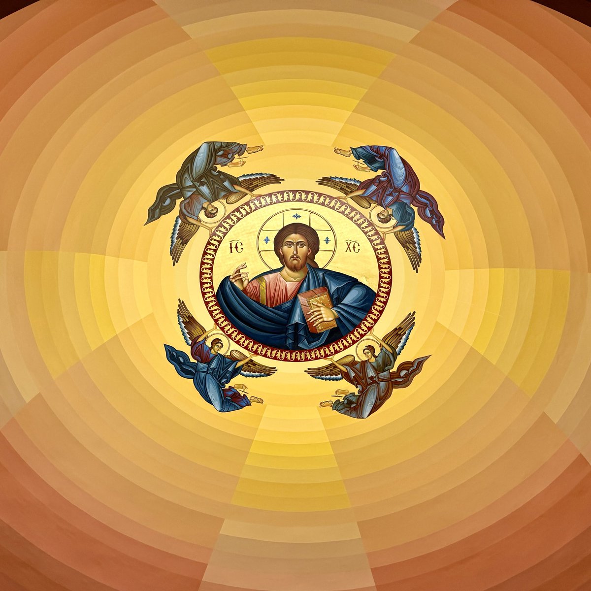 Mr. Illinois tweet media