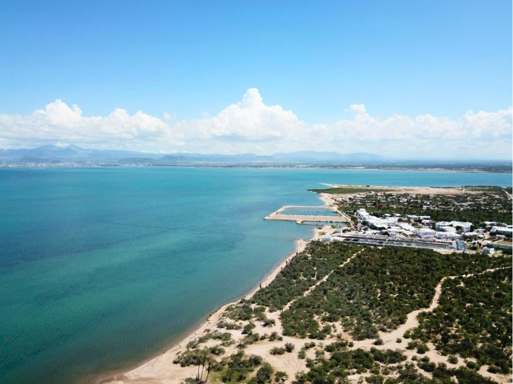 Luxury Real Estate tweet media