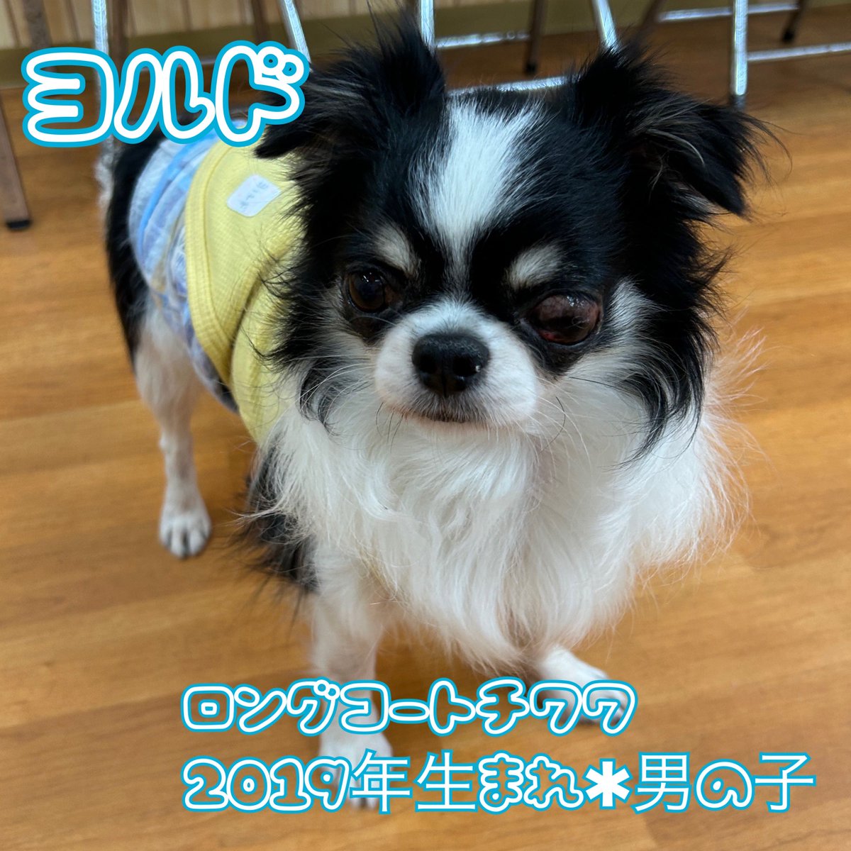 NPO法人LoveFive tweet media