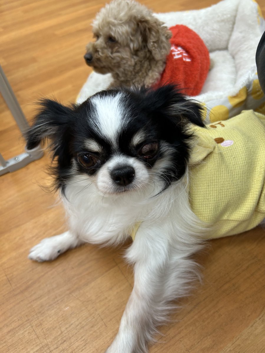 NPO法人LoveFive tweet media