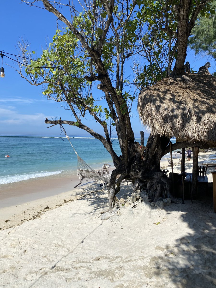 Derek Bailey tweet media