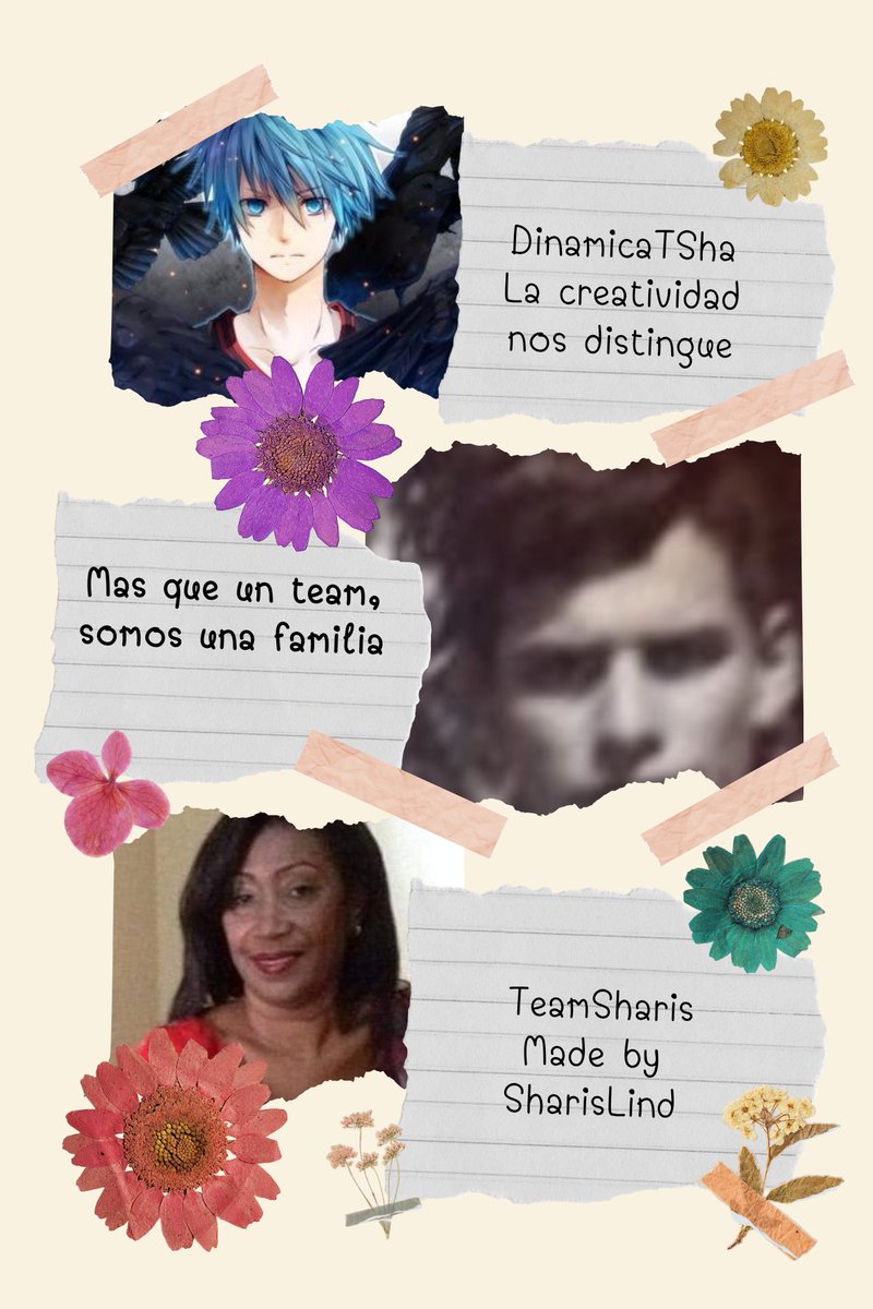 Alisha #TSha 🪷 tweet media