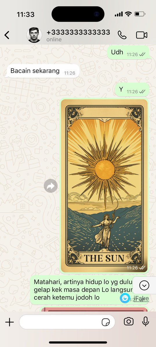 princess tweet media