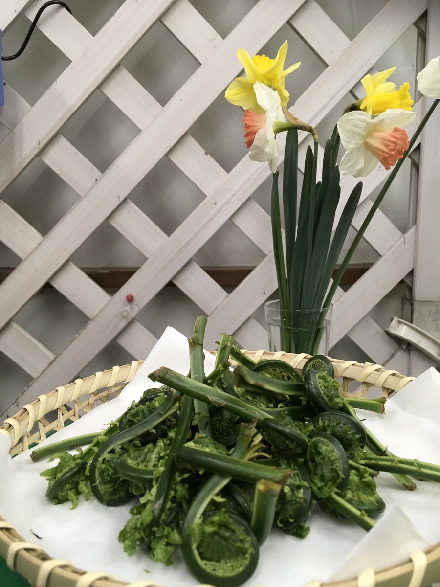 あ・ら・伊達な道の駅【公式】 tweet media